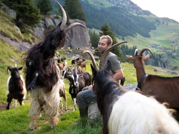 mys-Geissenparadies Göscheneralptal-Christian Näf mit Geissen Geissenparadies Göscheneralptal