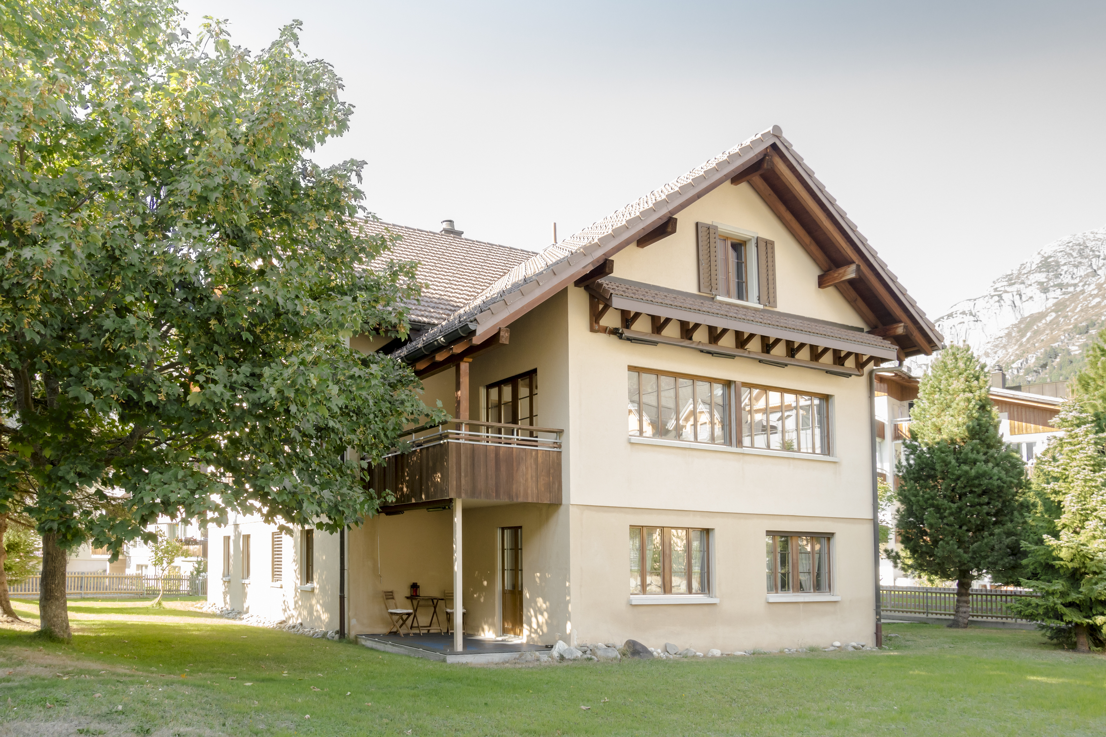 mys-Little Gemsstock-Little Gemsstock