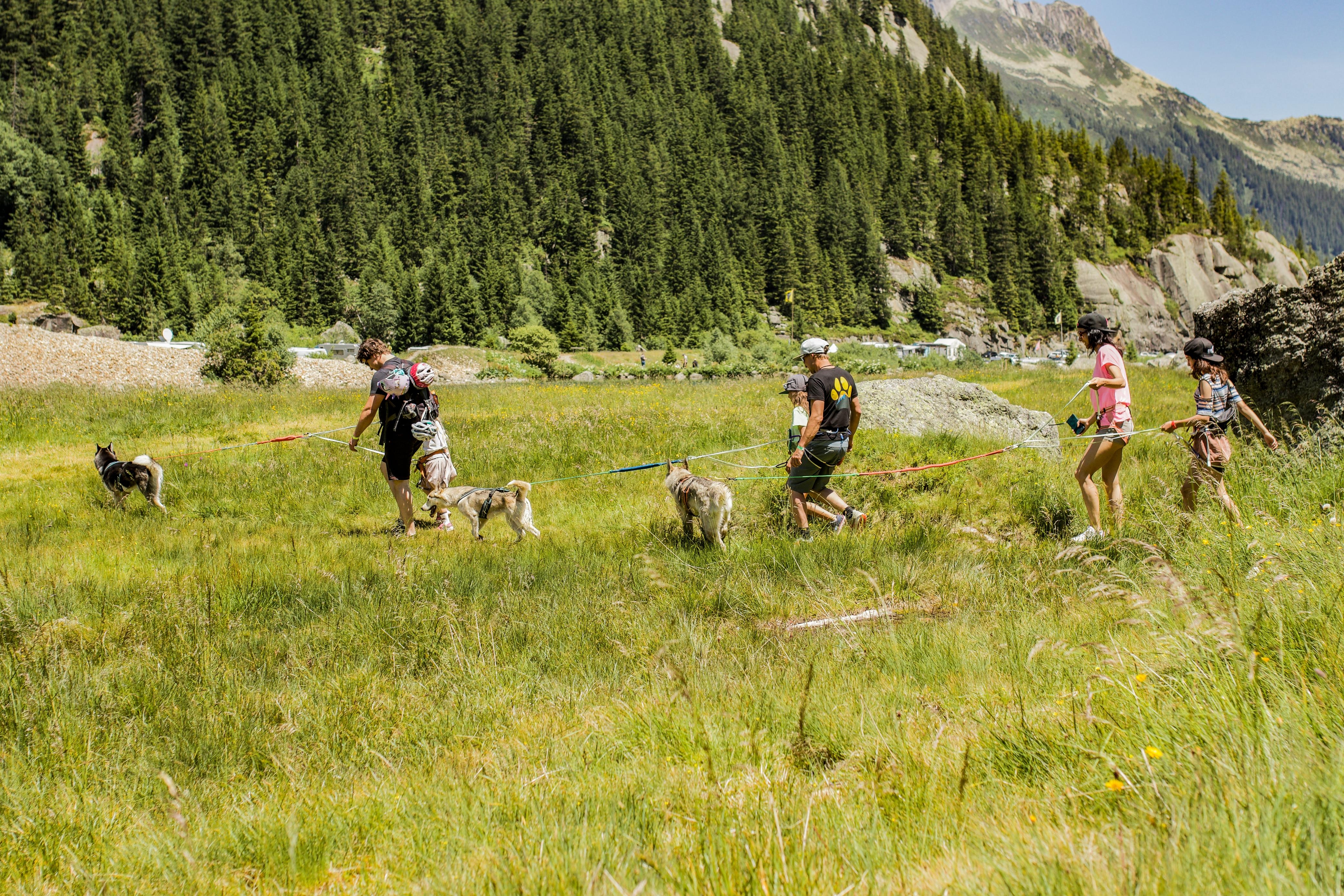 Husky Tages Wanderung 