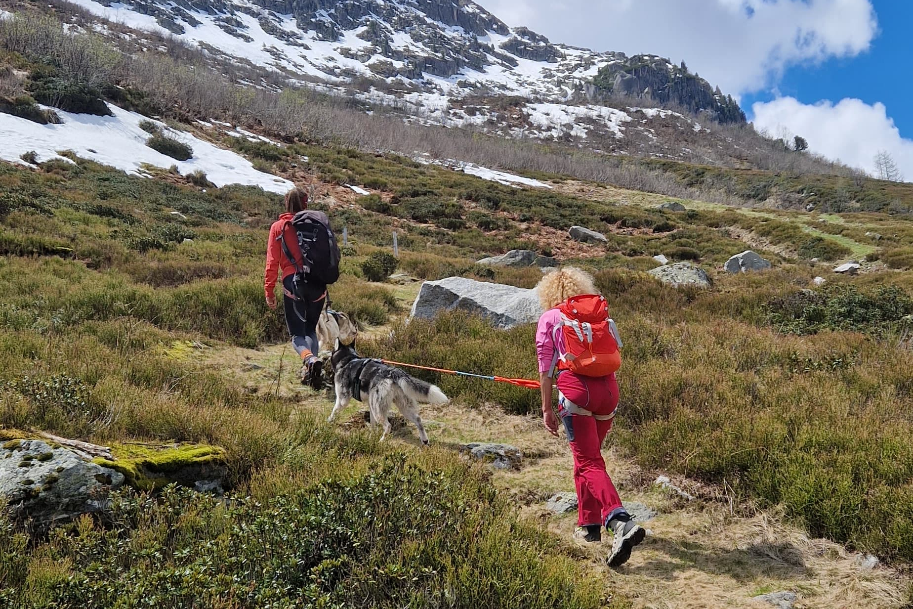mys-Day Hike with Huskies-Tages Wanderung mit Huskys