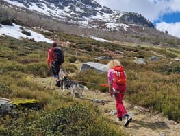 mys-Escursione giornaliera con Husky-Tages Wanderung mit Huskys Escursione giornaliera con Husky