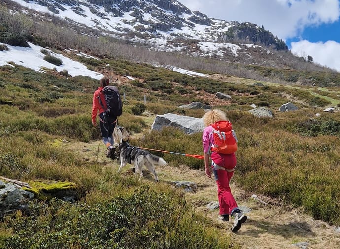 mys-Day Hike with Huskies-Tages Wanderung mit Huskys