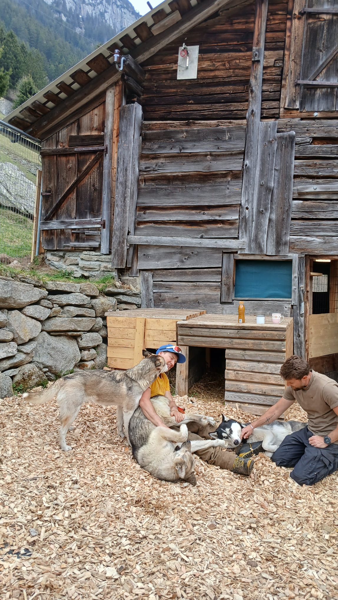 mys-Halbtages-Huskywanderung-Halbtages Husky Wanderung