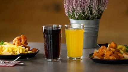 Klimaliebling Schneehüenerstock