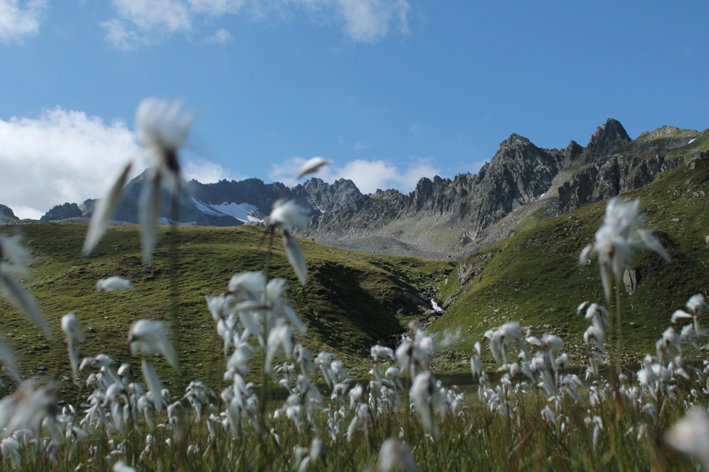 Unbekanntes Val Gierm