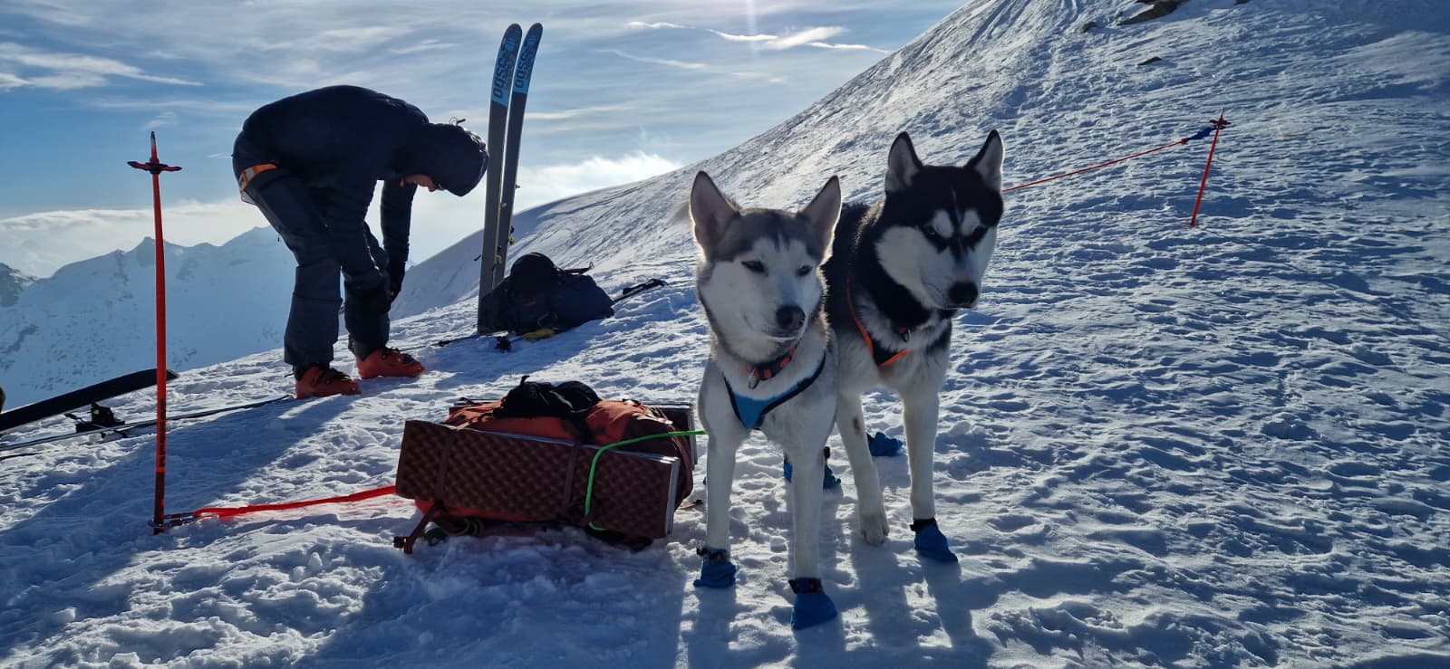 mys-Ski tour with huskies to the Maighelshütte-Hüttenromantik