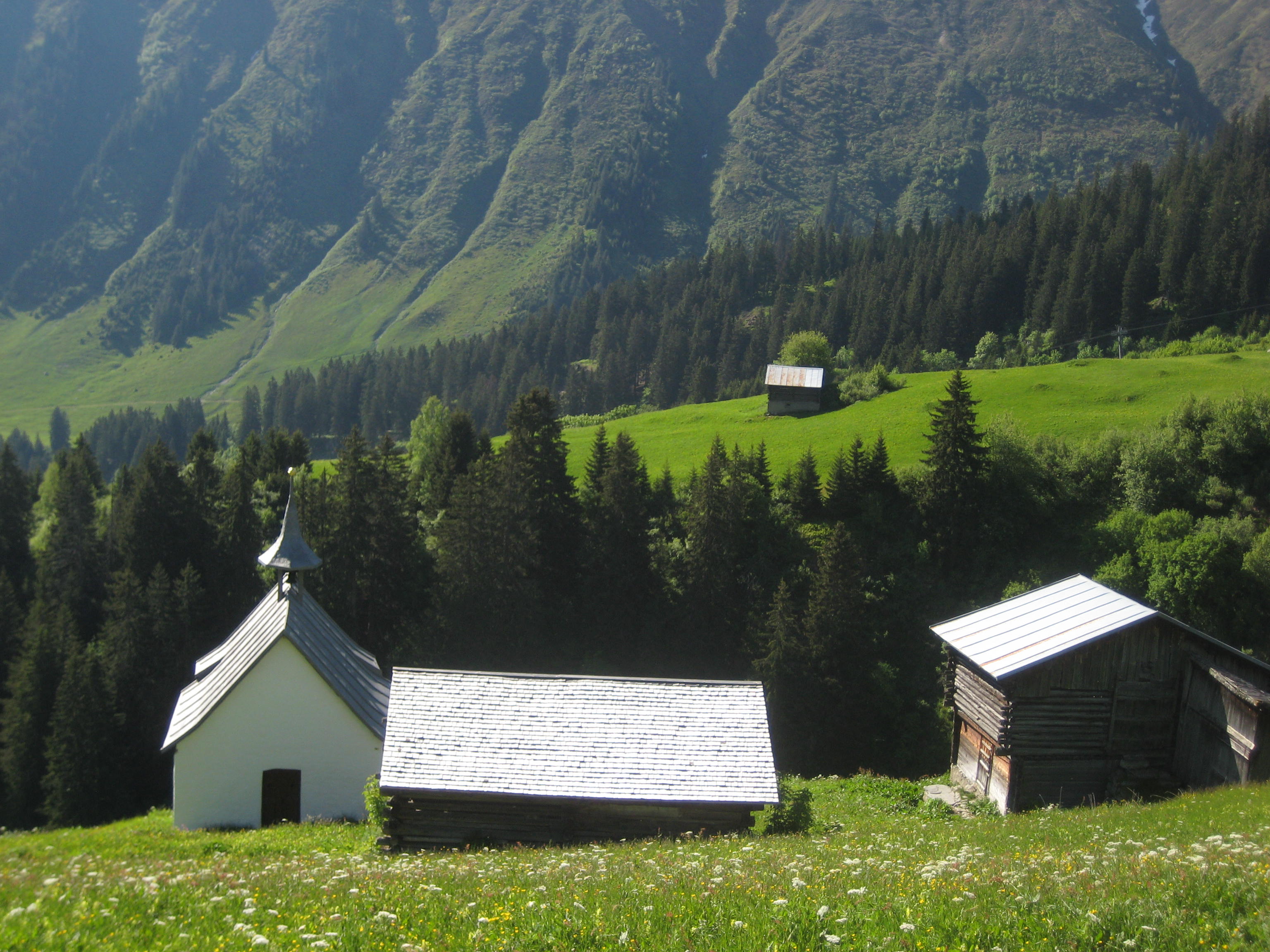 Talwanderung Oberalppass - Sedrun - Disentis