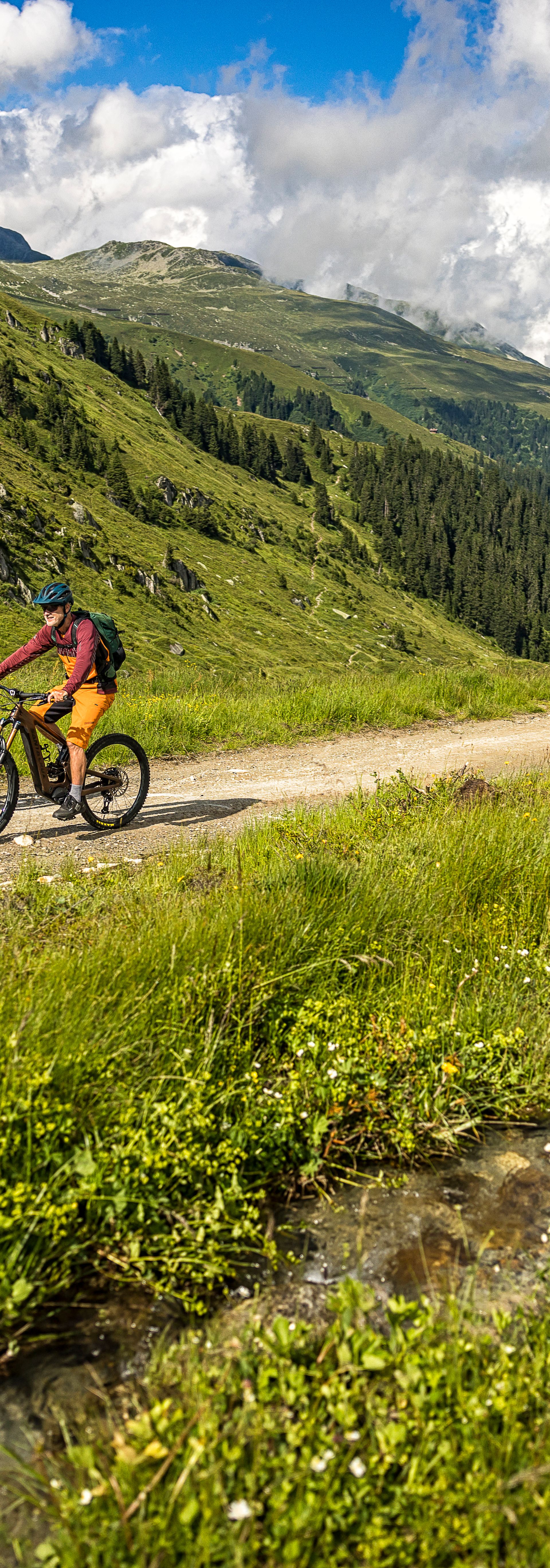 RheinWelten E-Bike