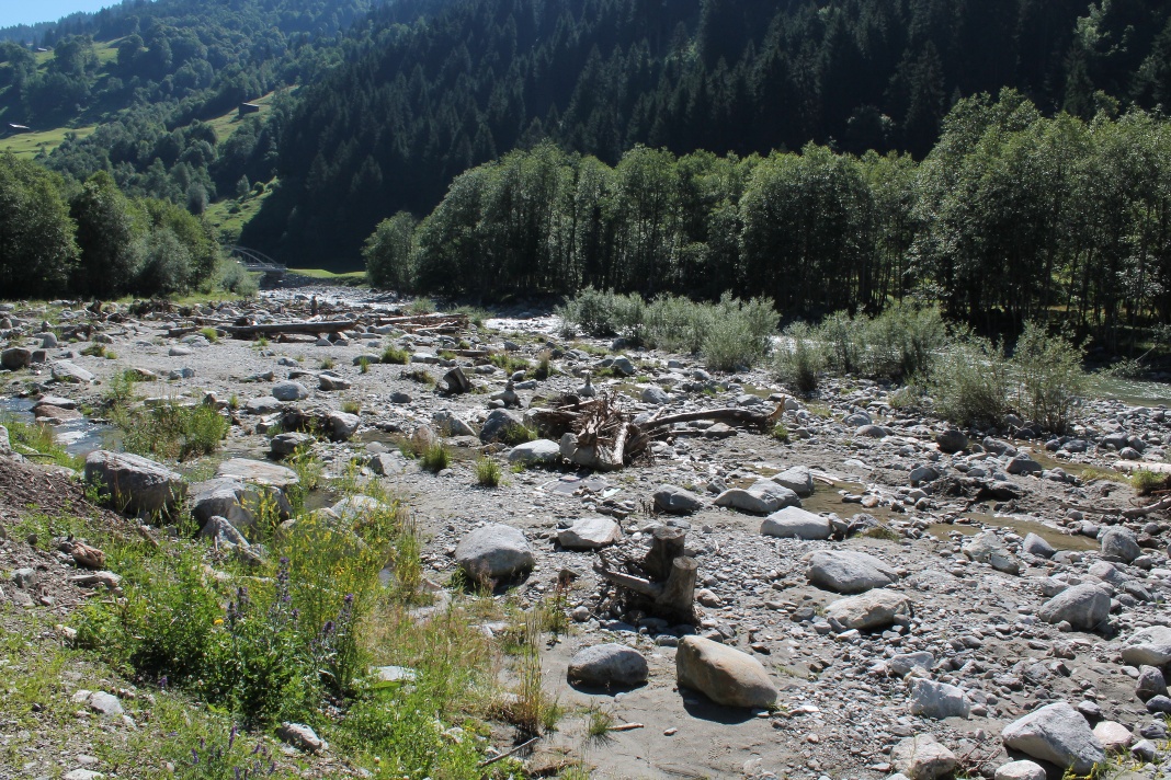 MTB Familiy : Fontanivas - parcours circulaire