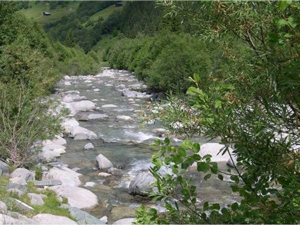 Familienwanderung  Disentis - Cumpadials