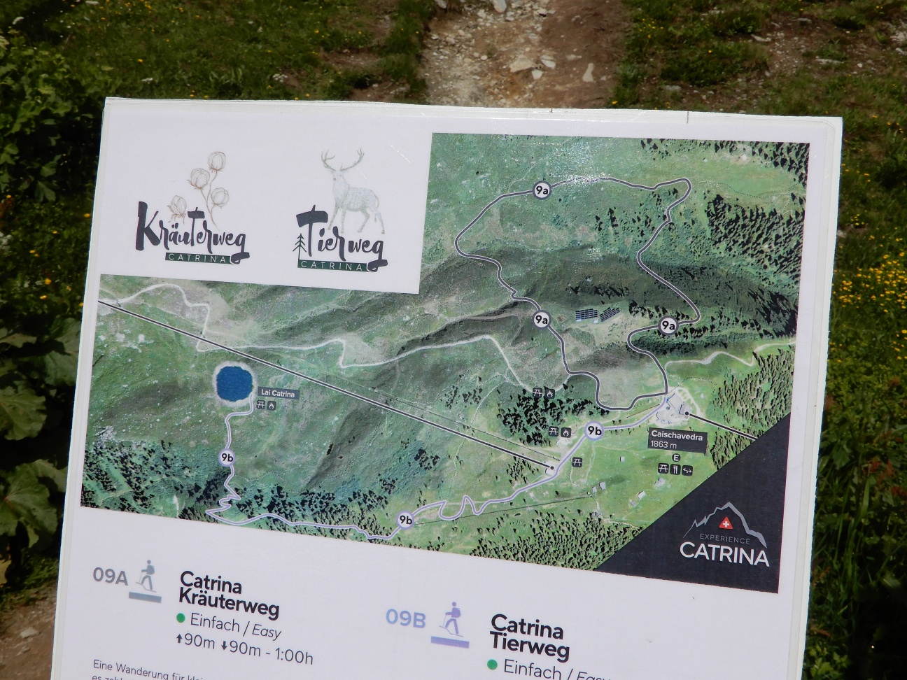 Kräuterwanderung