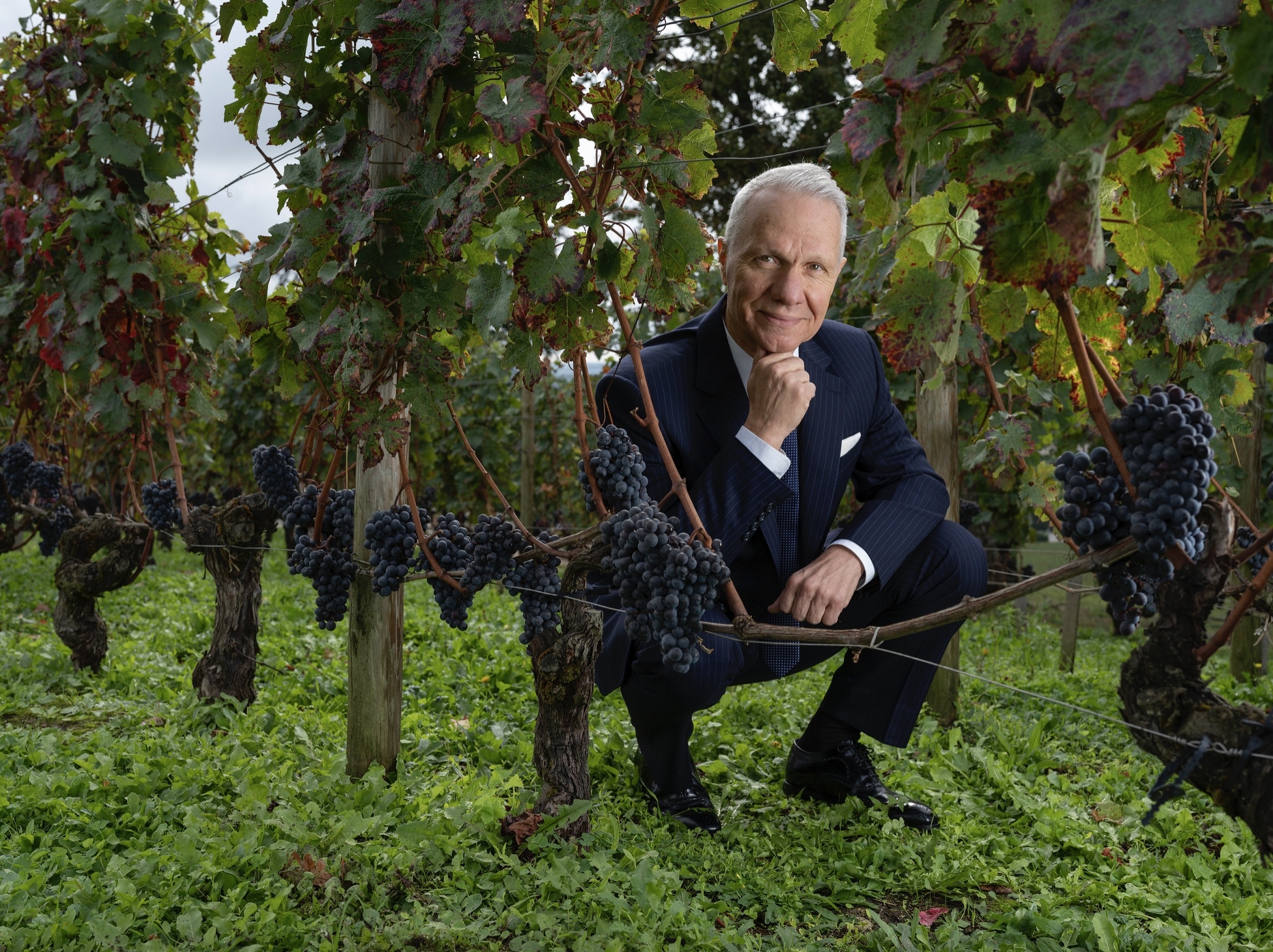 Château Pavie Wine Experience