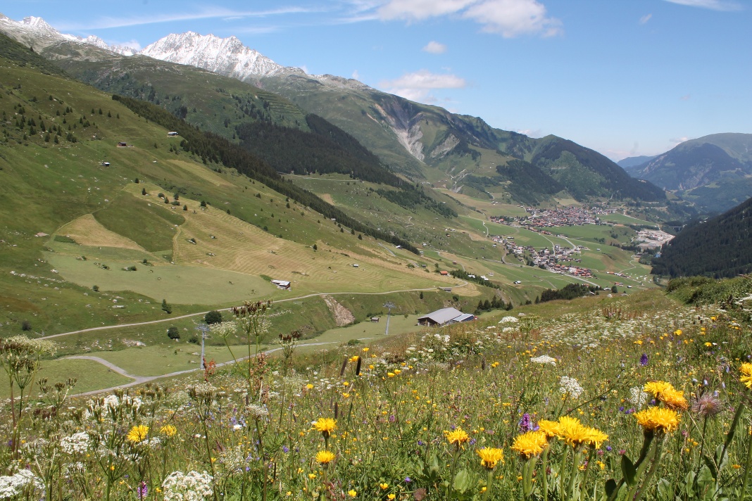 Bergbeizli - Tour Milez