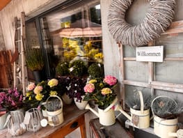mys-Stiziunetta Dieni-Stiziunetta aussen Stiziunetta Dieni