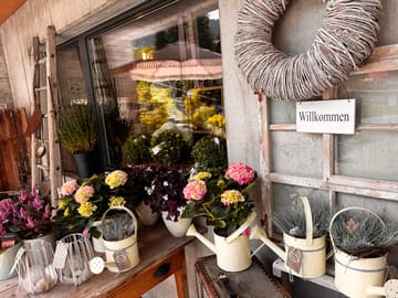 mys-Stiziunetta Dieni-Stiziunetta aussen Stiziunetta Dieni