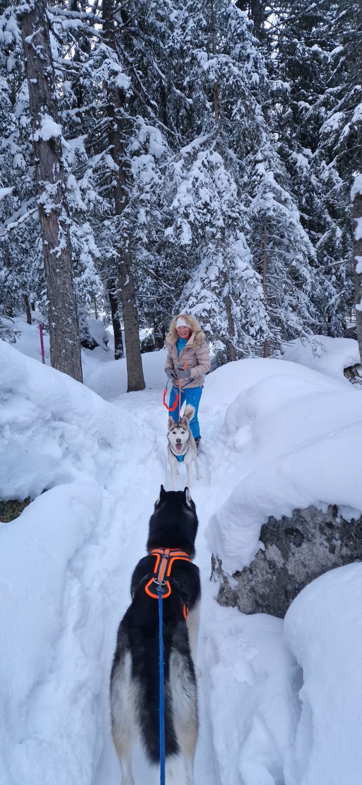 mys-Randonnée en raquettes avec des huskies-Schneeschuh