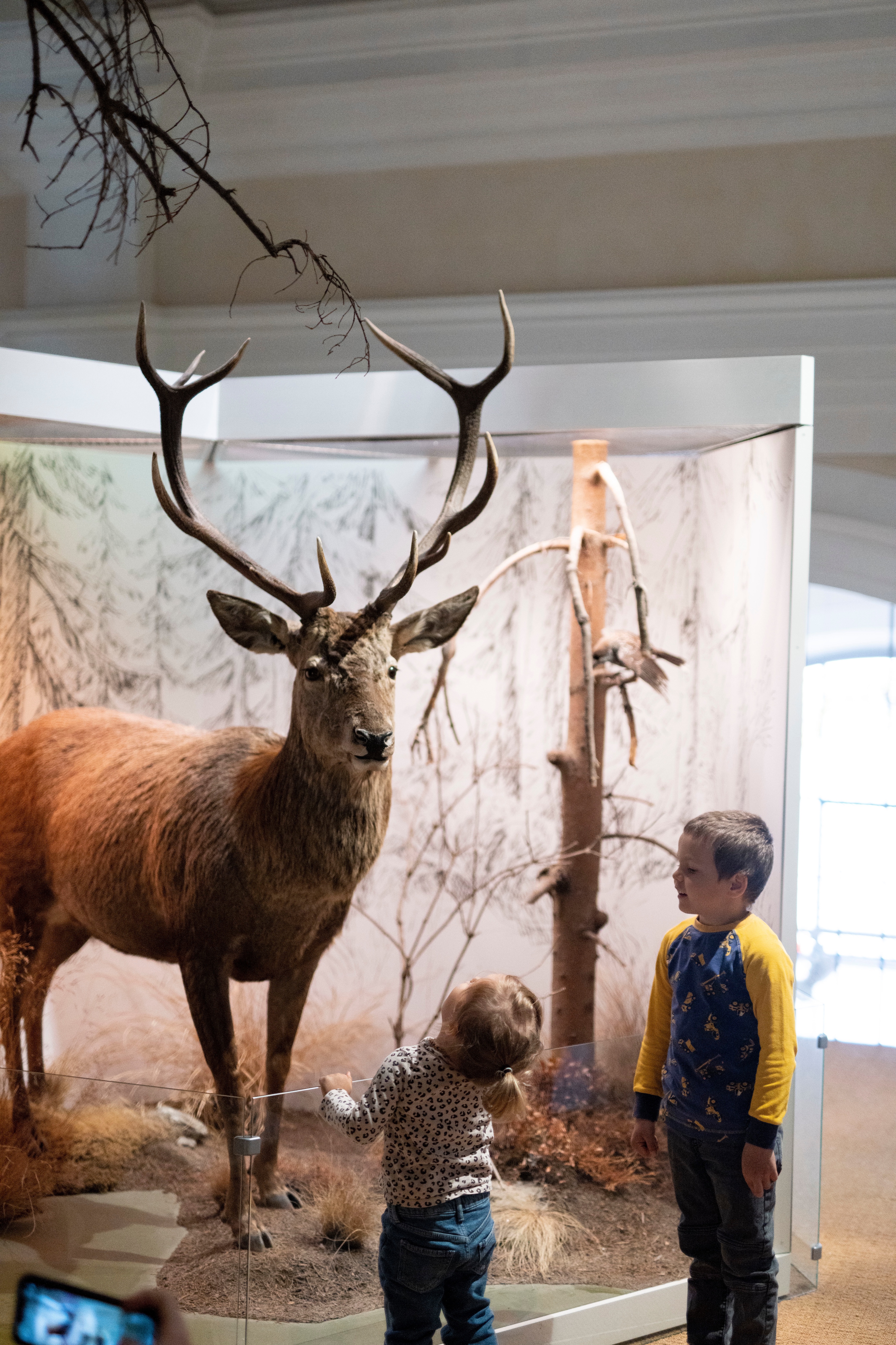 Museum Kloster Disentis