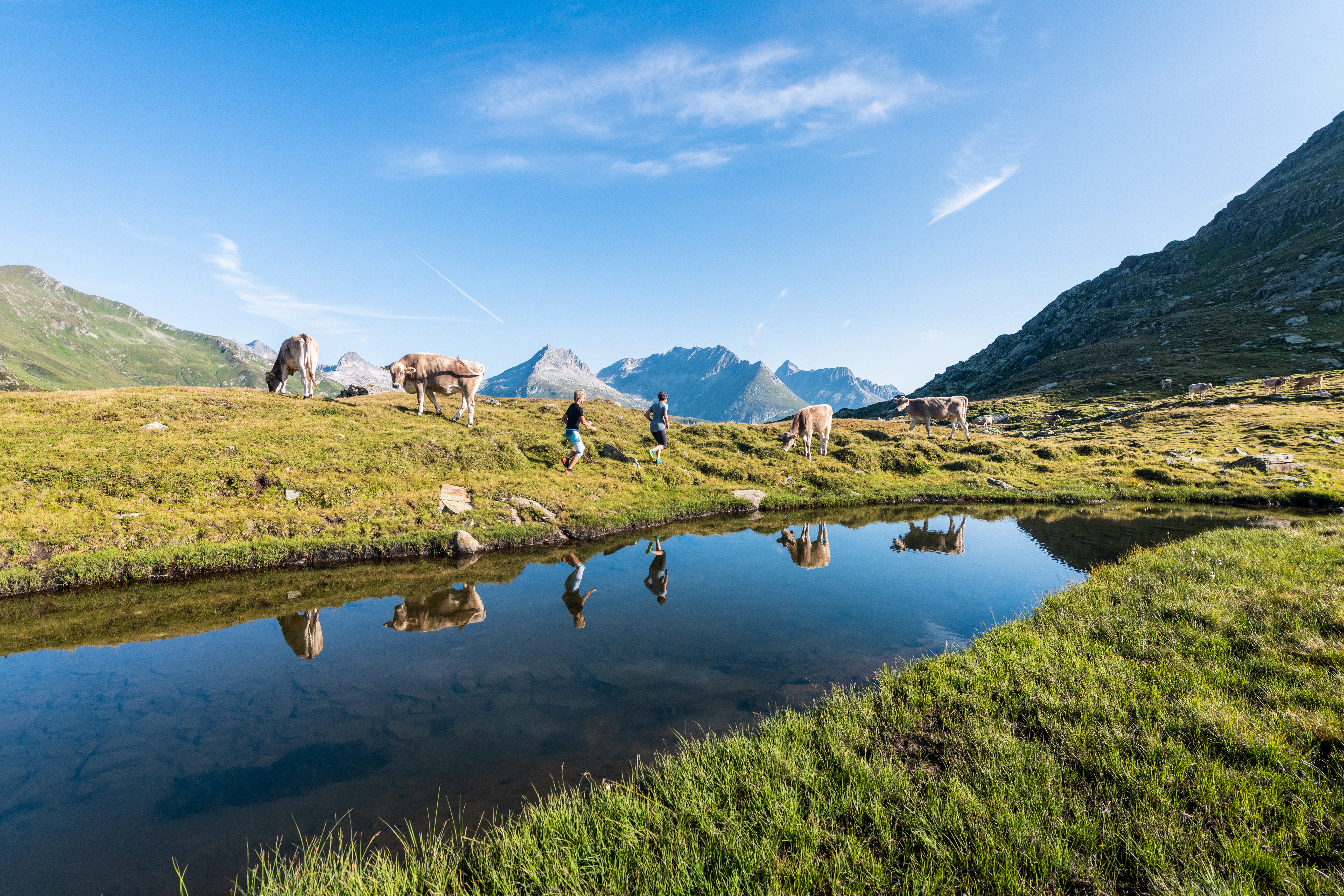 Trailrunning SDT