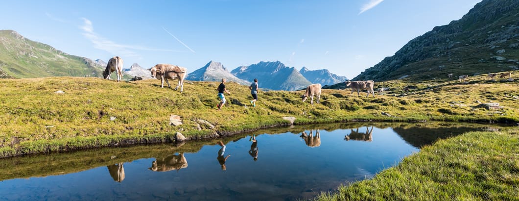 Trailrunning SDT Trailrunning SDT