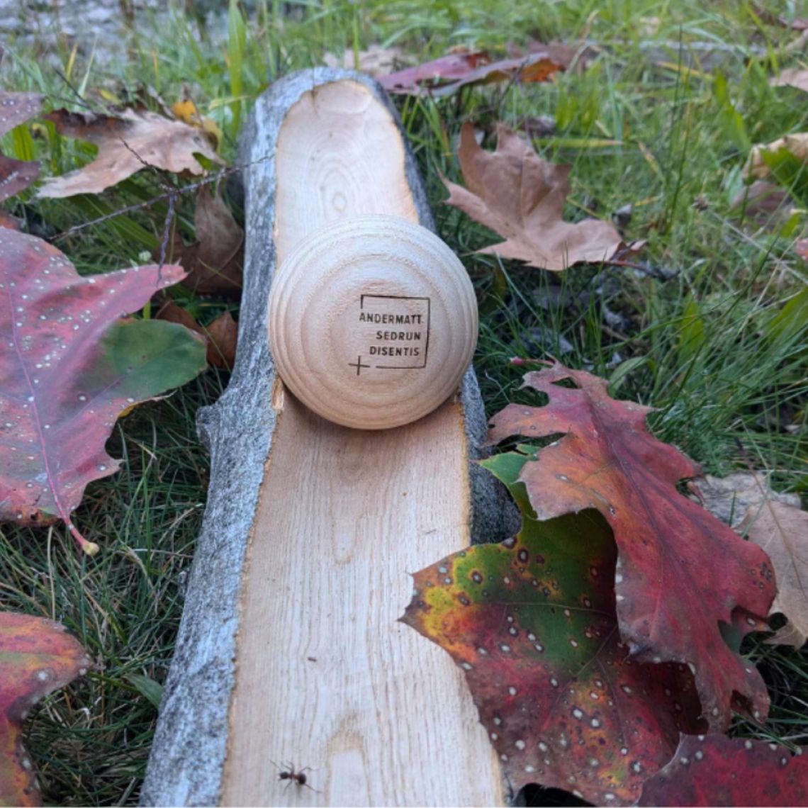 Kugelibahn ASD