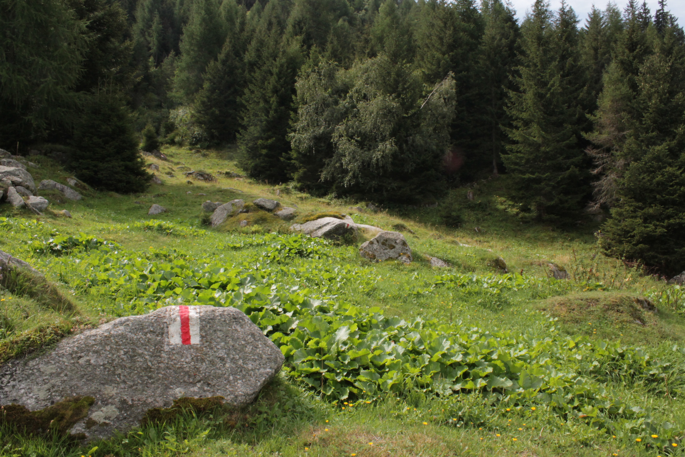 Natur Pur im Val Medel