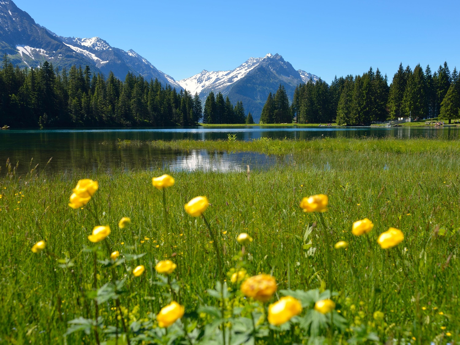 Rund um den Arnisee