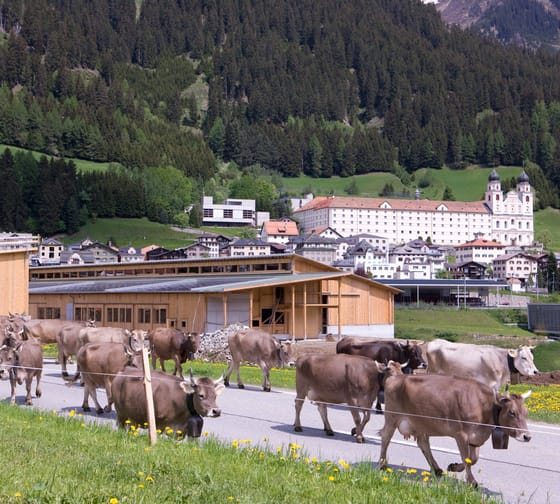 Klosterhof Salaplauna