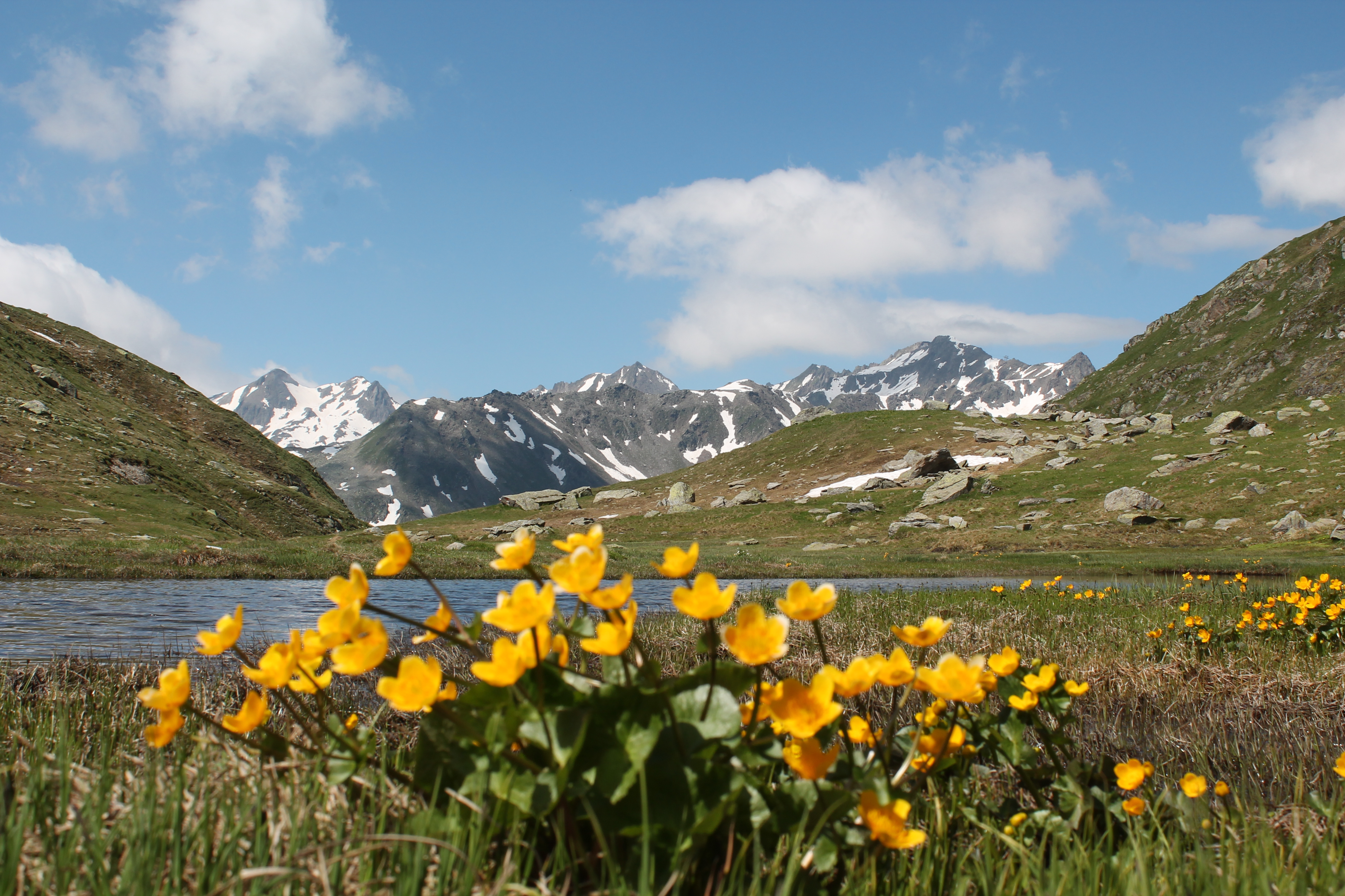Rundwanderung Lolenpass - Maighelspass