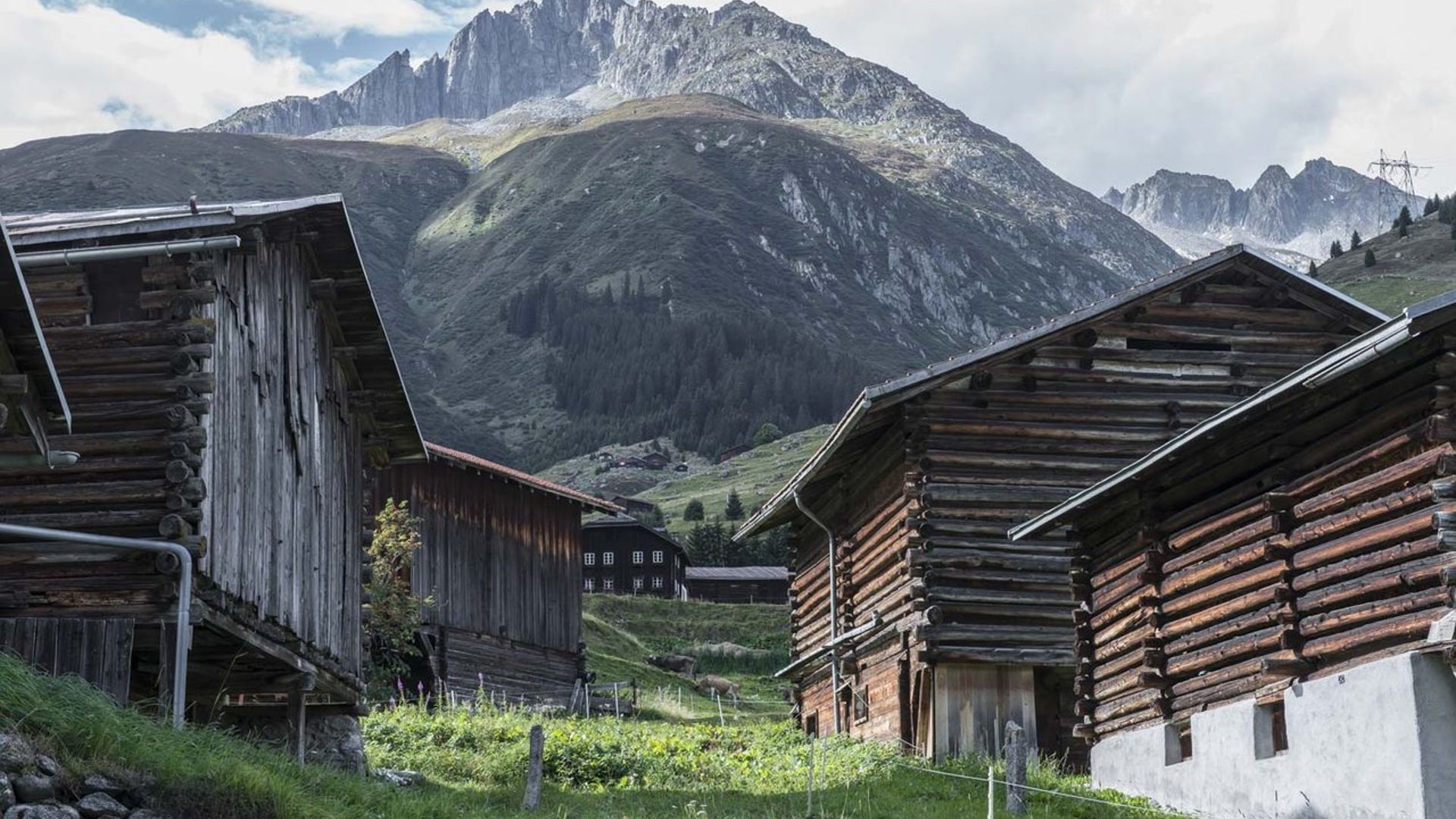 Vor Ort A-Z Vor Ort A-Z