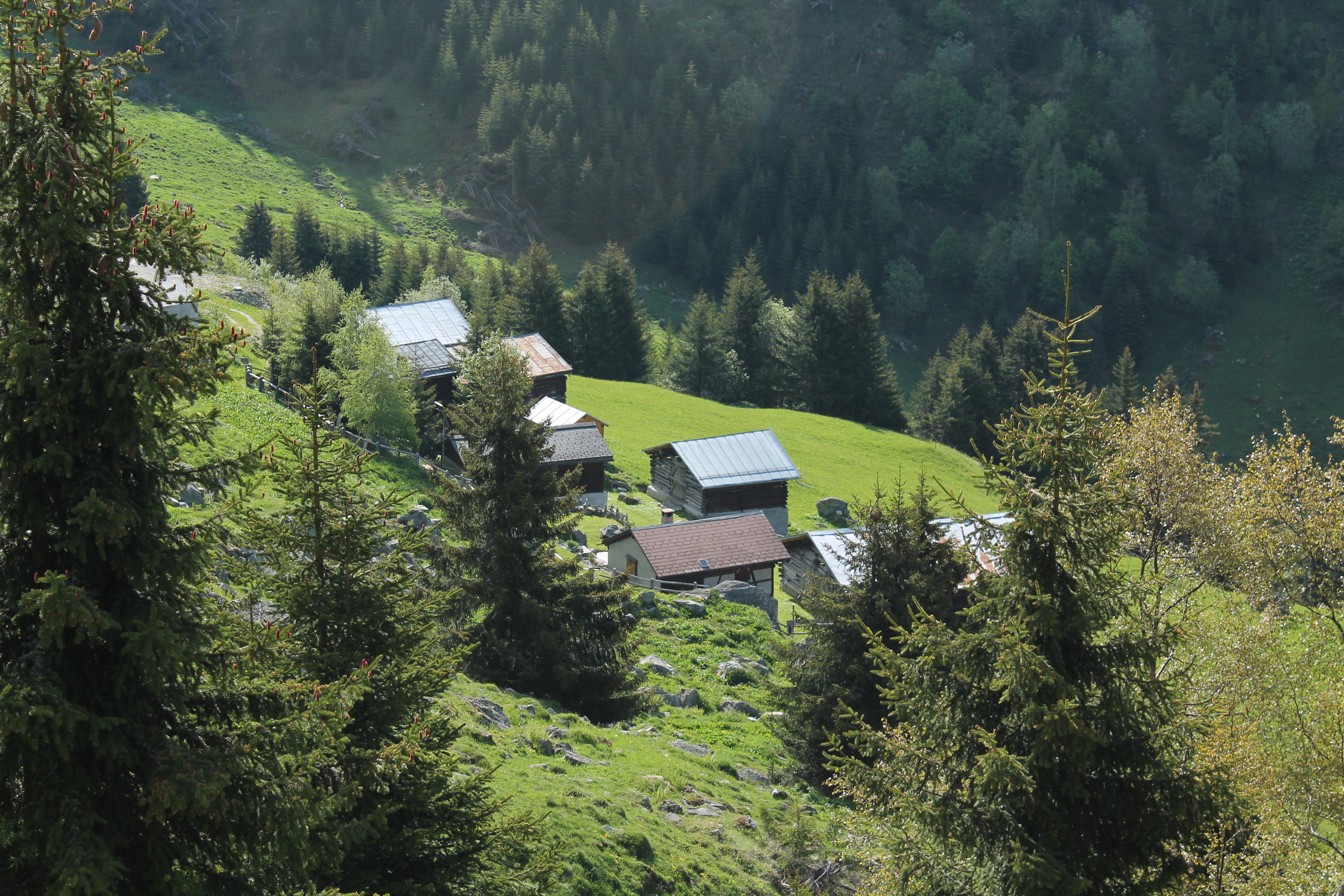 Bostg - sentier