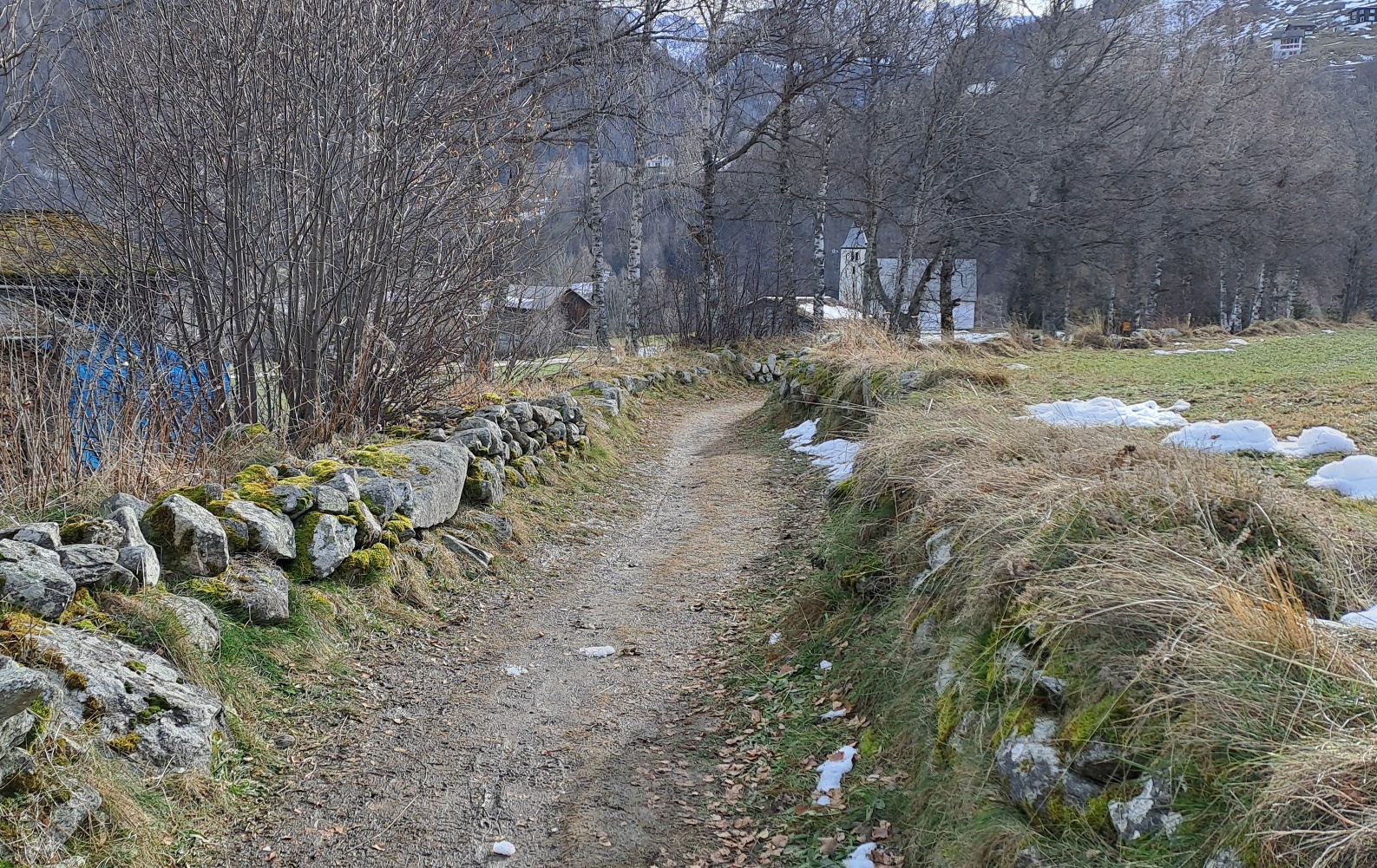 Hängebrücke - Holzinstallation Caschlatsch, Rundwanderung