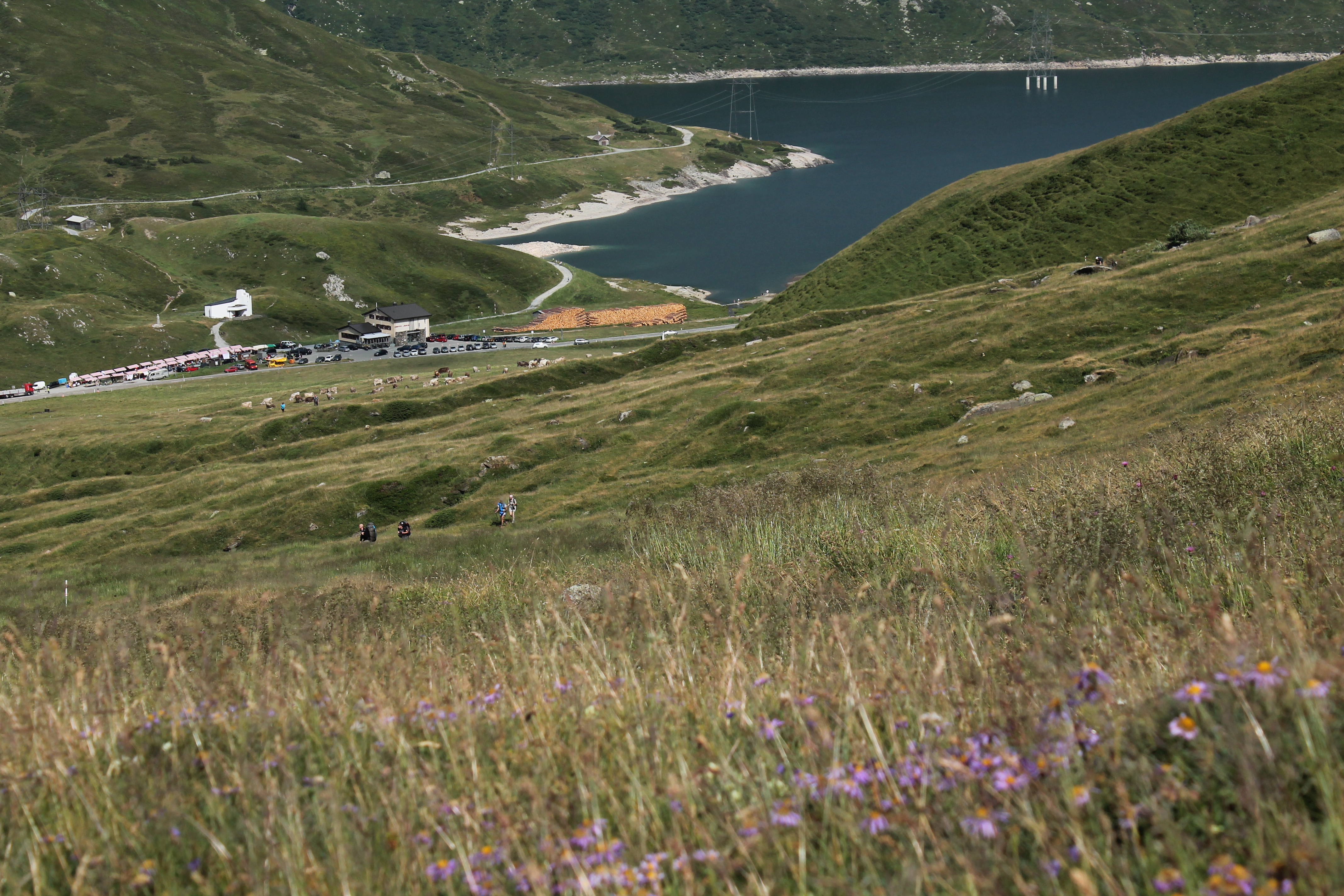 Edelweiss-Tour zum Passo di Gana Negra