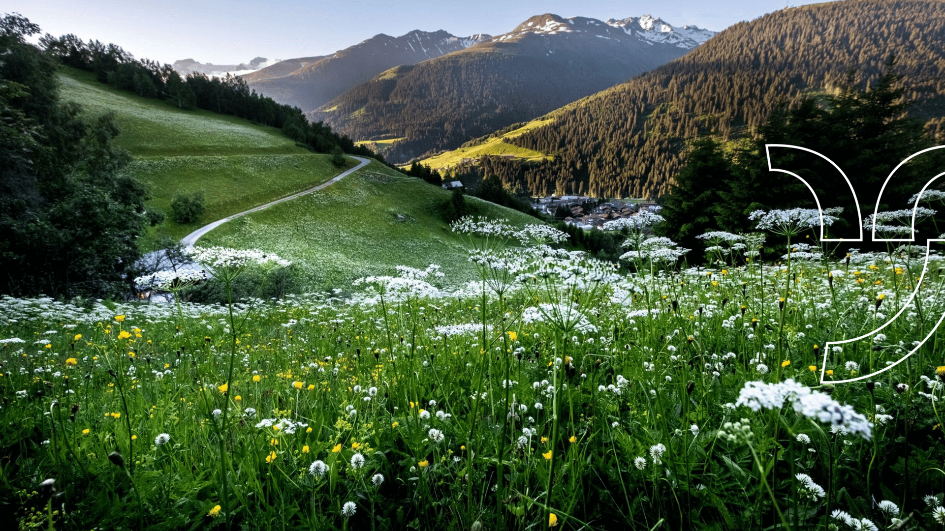 Informazioni per gli ospiti Informazioni per gli ospiti