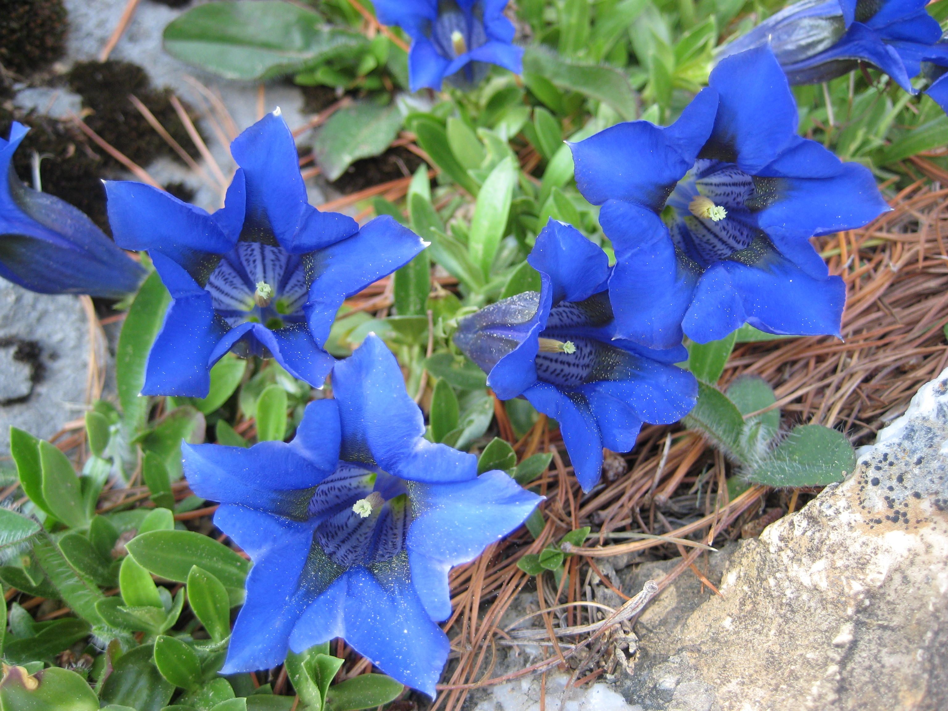 Excursiun/Wanderung Waltensburg/Vuorz (Rueun) - Glion Ilanz