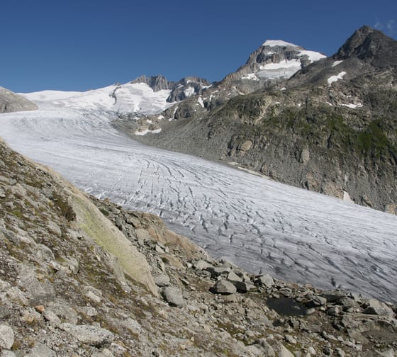 Rhonequelle