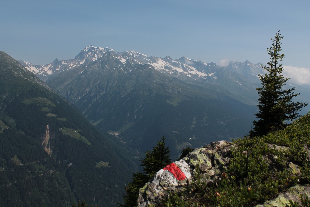 Disentis - Alp Soliva