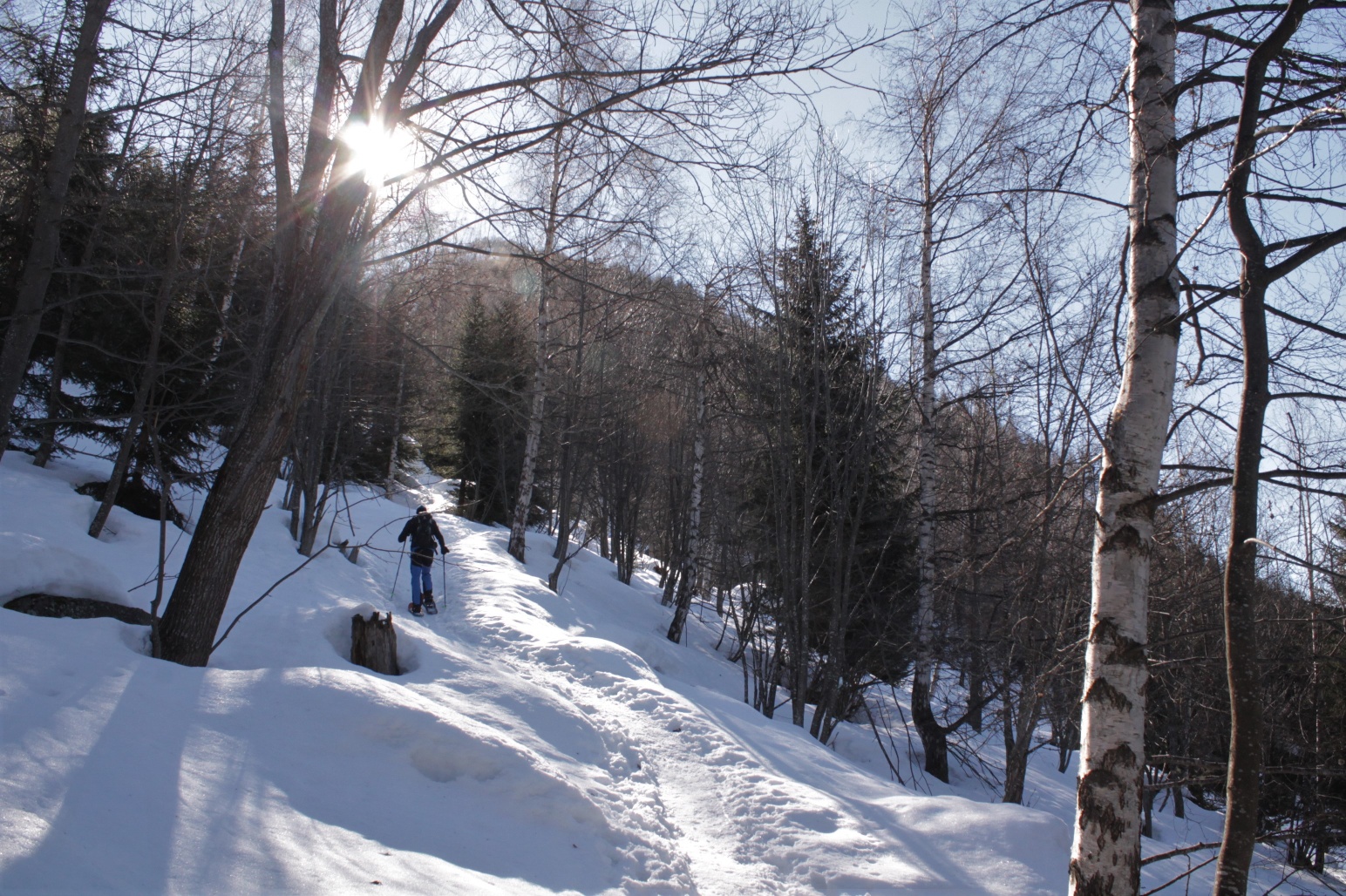 Biscuolm Trail, Rundtour