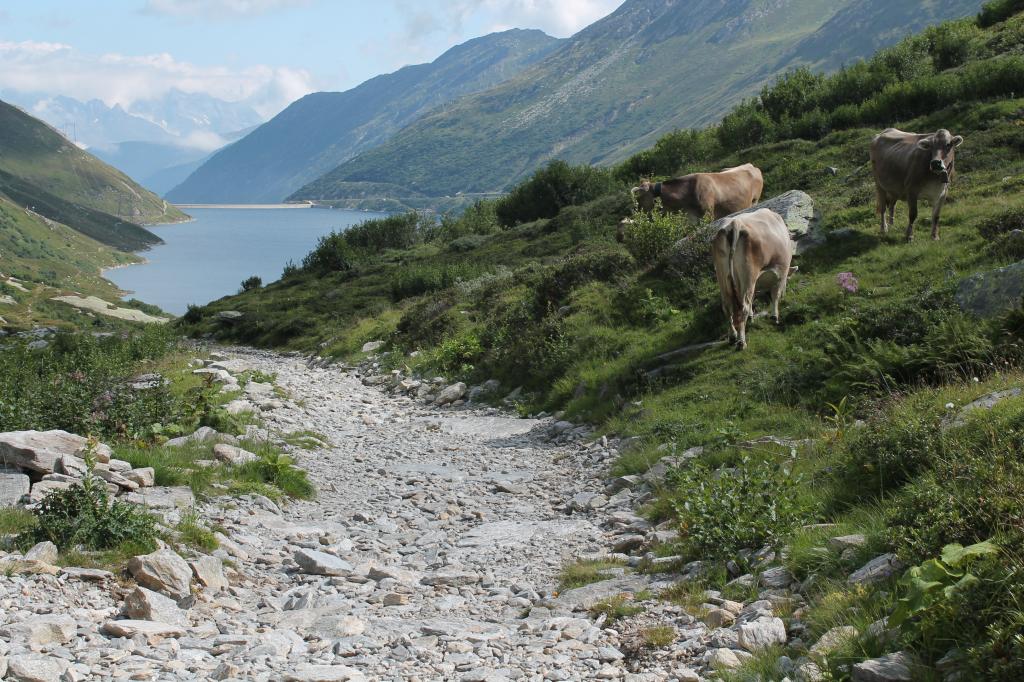 Lukmanierpass - Capanna Cadagno - Ritomsee