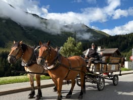 mys-Kutschenfahrt oder Wandern mit Mini-Shetlandponys-Kutschenfahrt in Sedrun Kutschenfahrt oder Wandern mit Mini-Shetlandponys