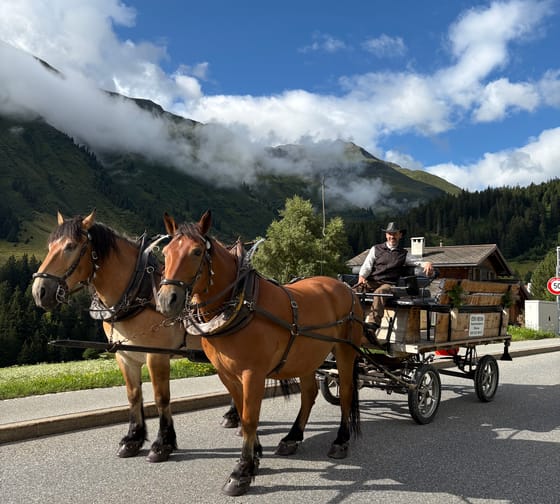 Kutsche mit zwei Pferden