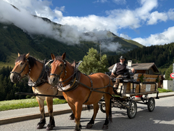 mys-Promenade en calèche ou randonnée avec des mini-poneys Shetland-Kutschenfahrt in Sedrun