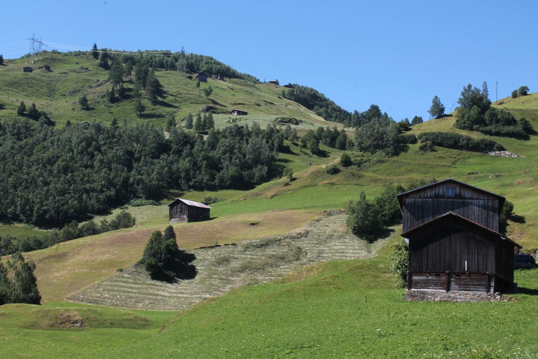 E-Bike Tour: Disentis - Stagias - Disentis