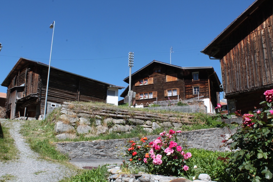 E-Bike Tour: Disentis - Stagias - Disentis