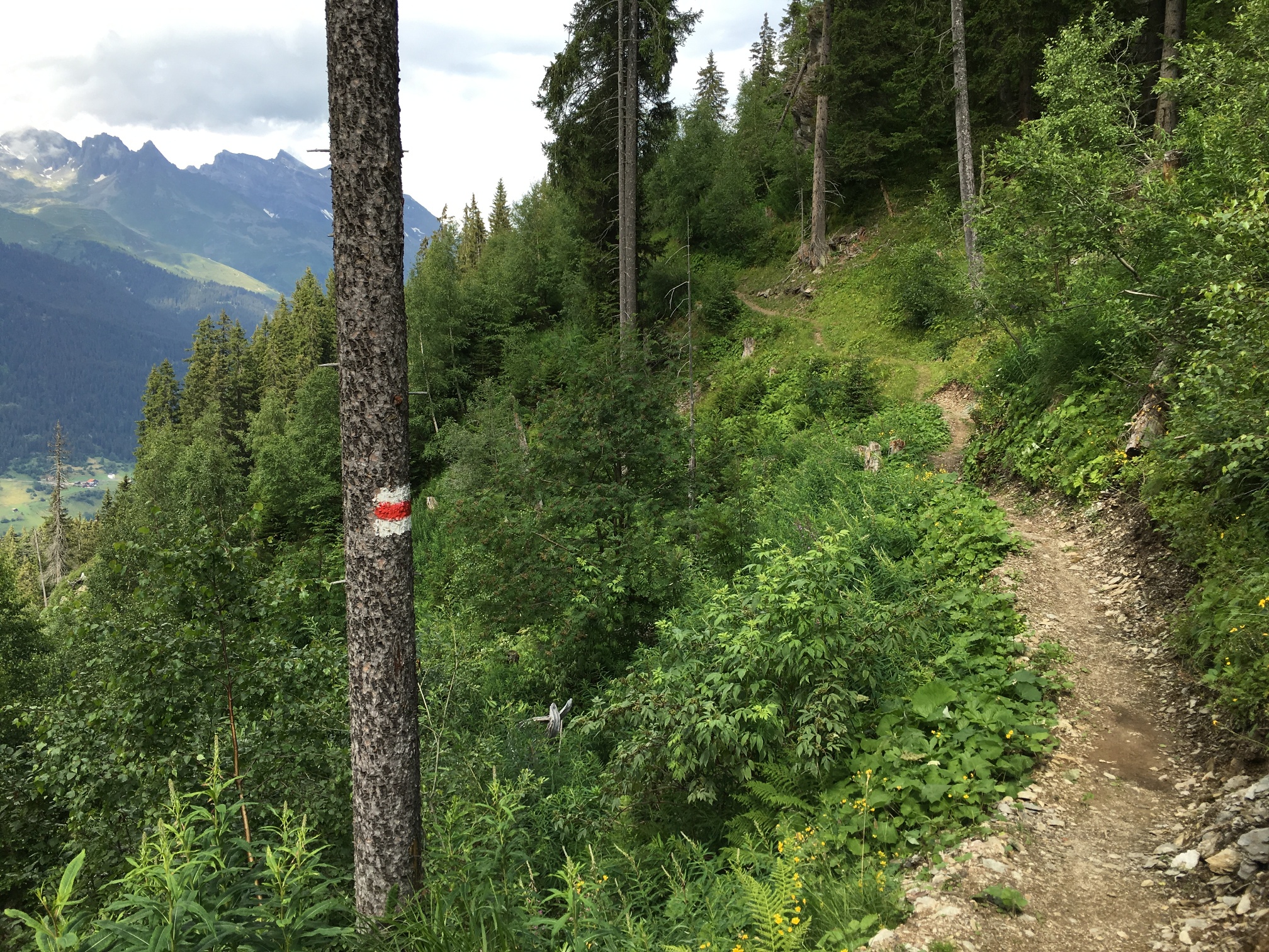 Lag da Laus - Trail