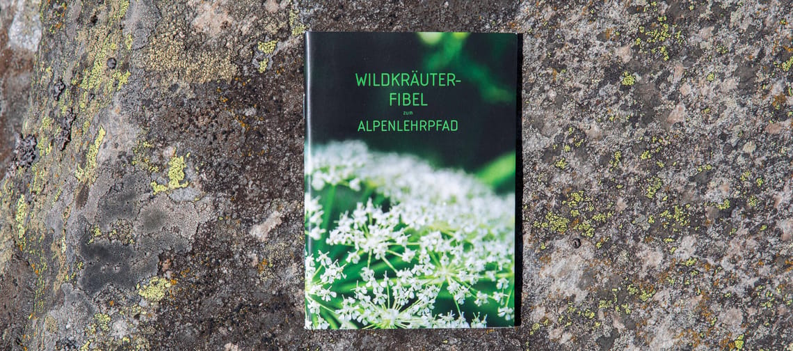 Wildkräuterfibel