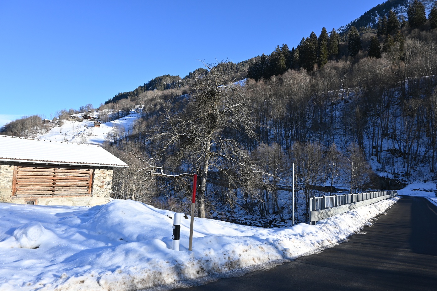 Disentis-Cavardiras-Faltscharidas