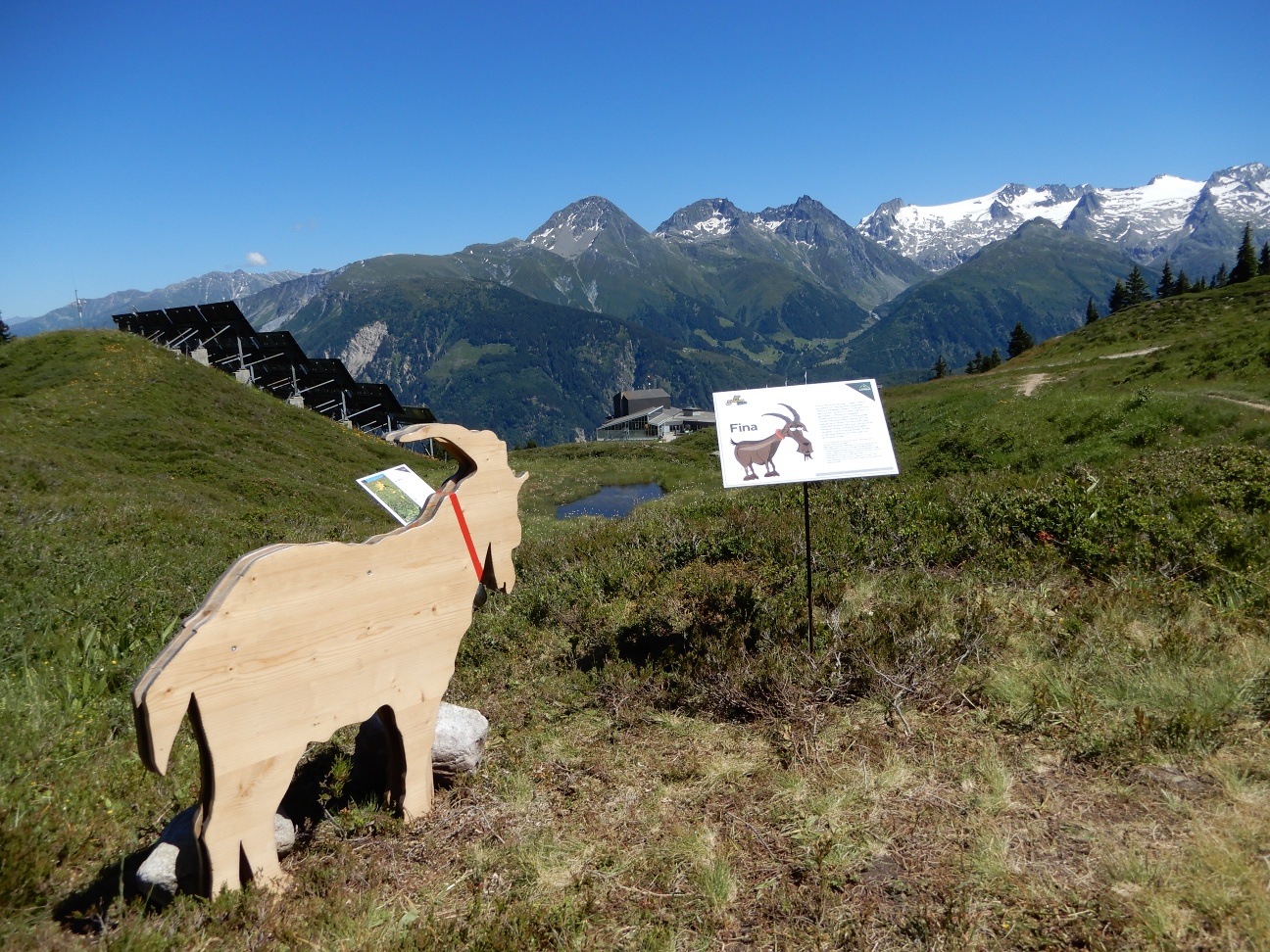 Kräuterwanderung