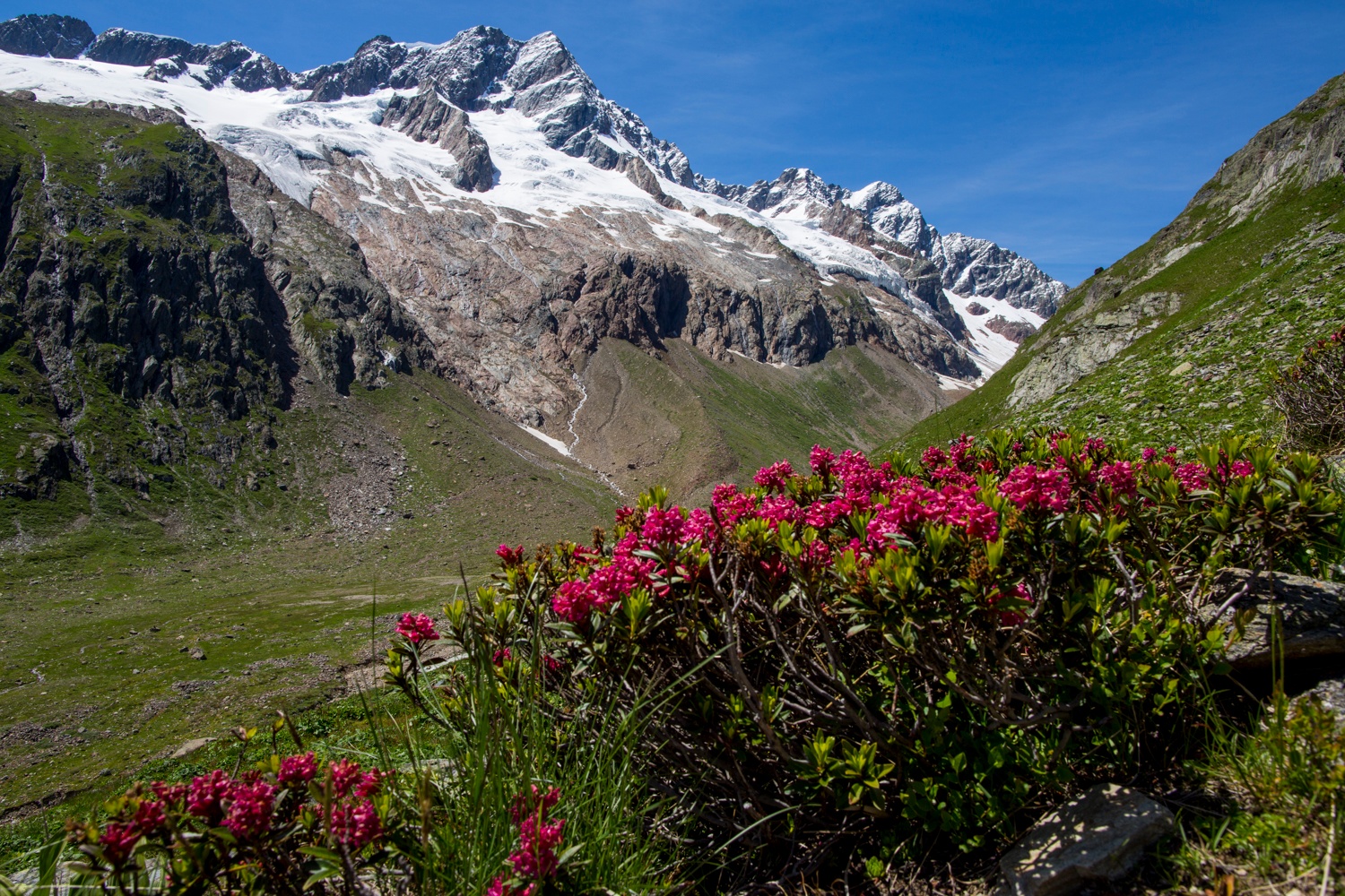 Rifugio Voralphütte SAC