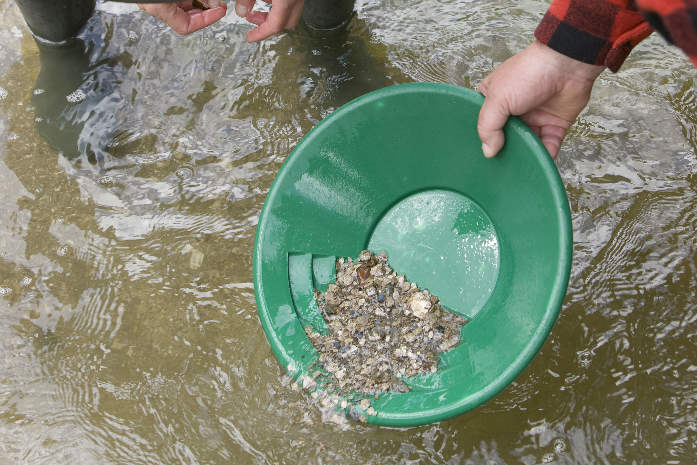 mys-Gold-Gusti-Pfanne