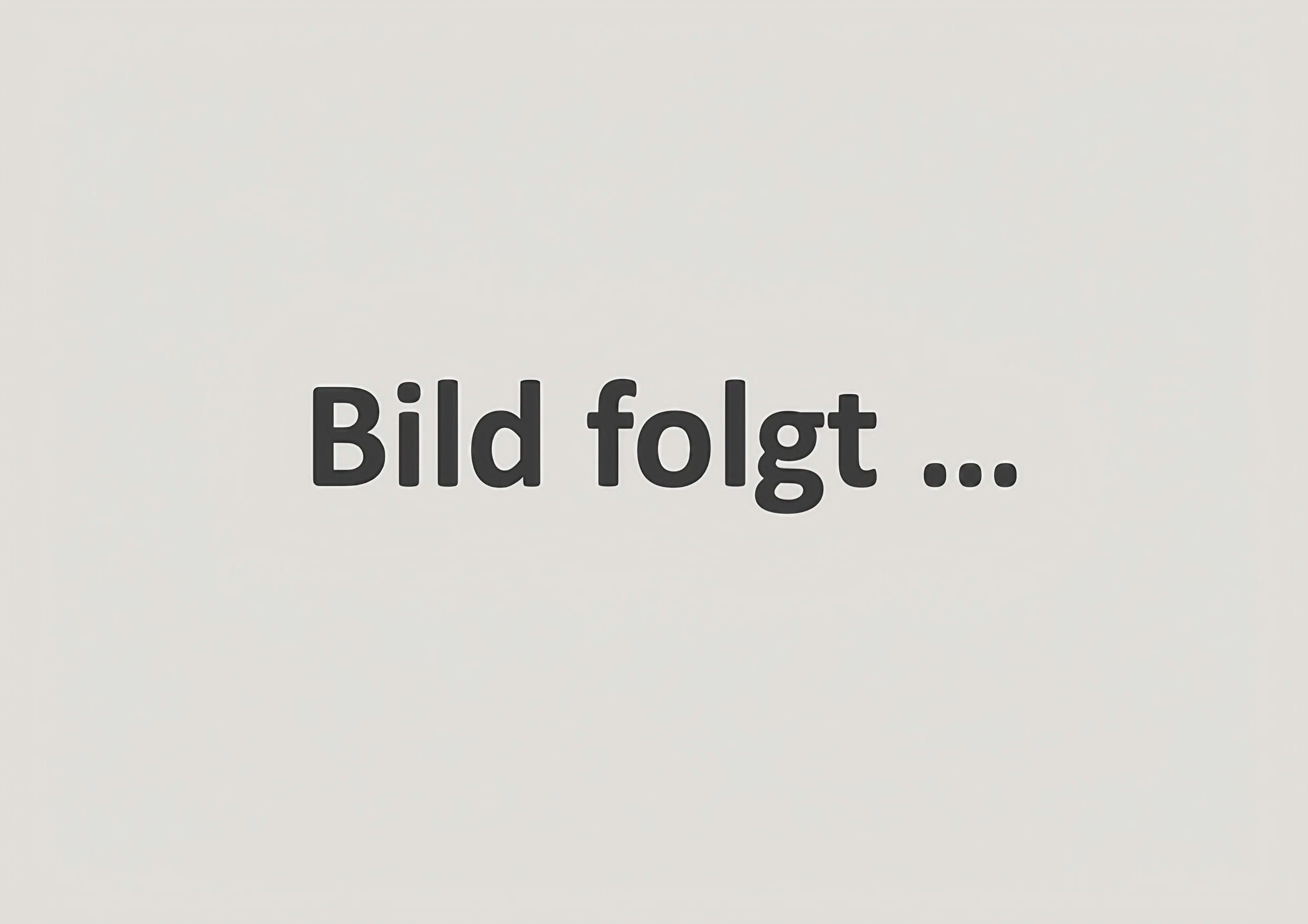Platzhalter für fehlendes Bild